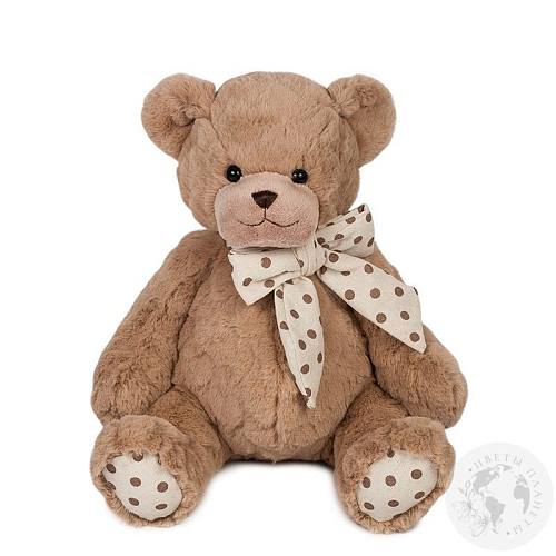 Мягкая игрушка "Мишка Брауни", 26 см Мягкая игрушка "Мишка Брауни", 26 см в магазине Праздничный маркет